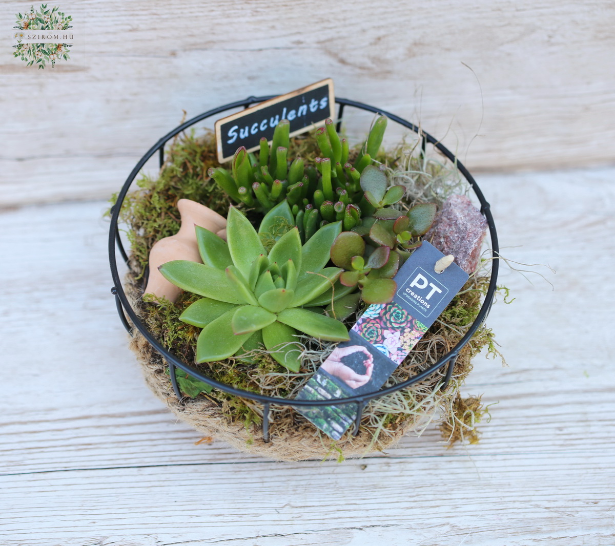 flower delivery Budapest - Succulent plant assembly