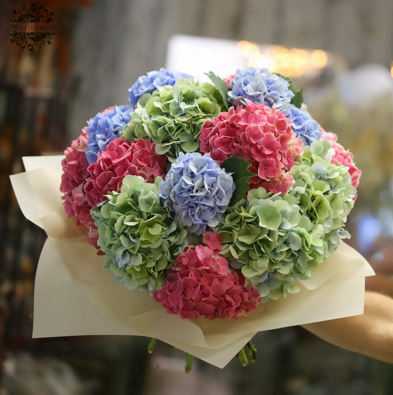 flower delivery Budapest - 17 mixed hydrangeas in a giant bouquet