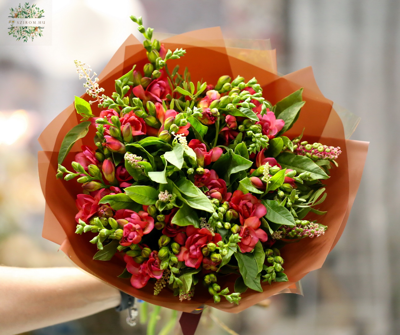 flower delivery Budapest - Red freesia bouquet (30 stams)