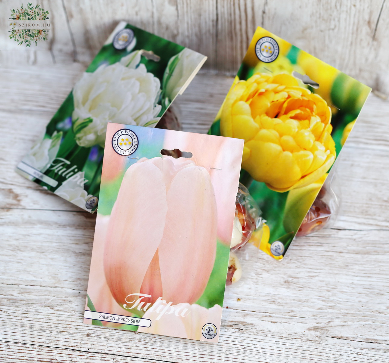 flower delivery Budapest - Tulip bulbs