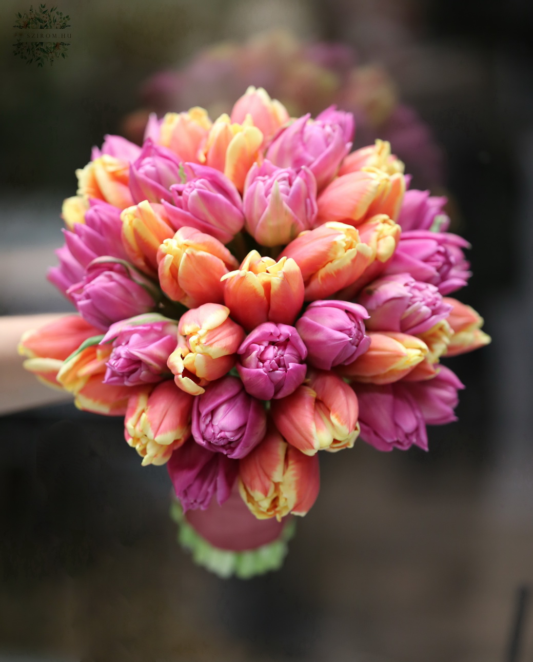 Virágküldés Budapest - 50 szálas tulipáncsokor