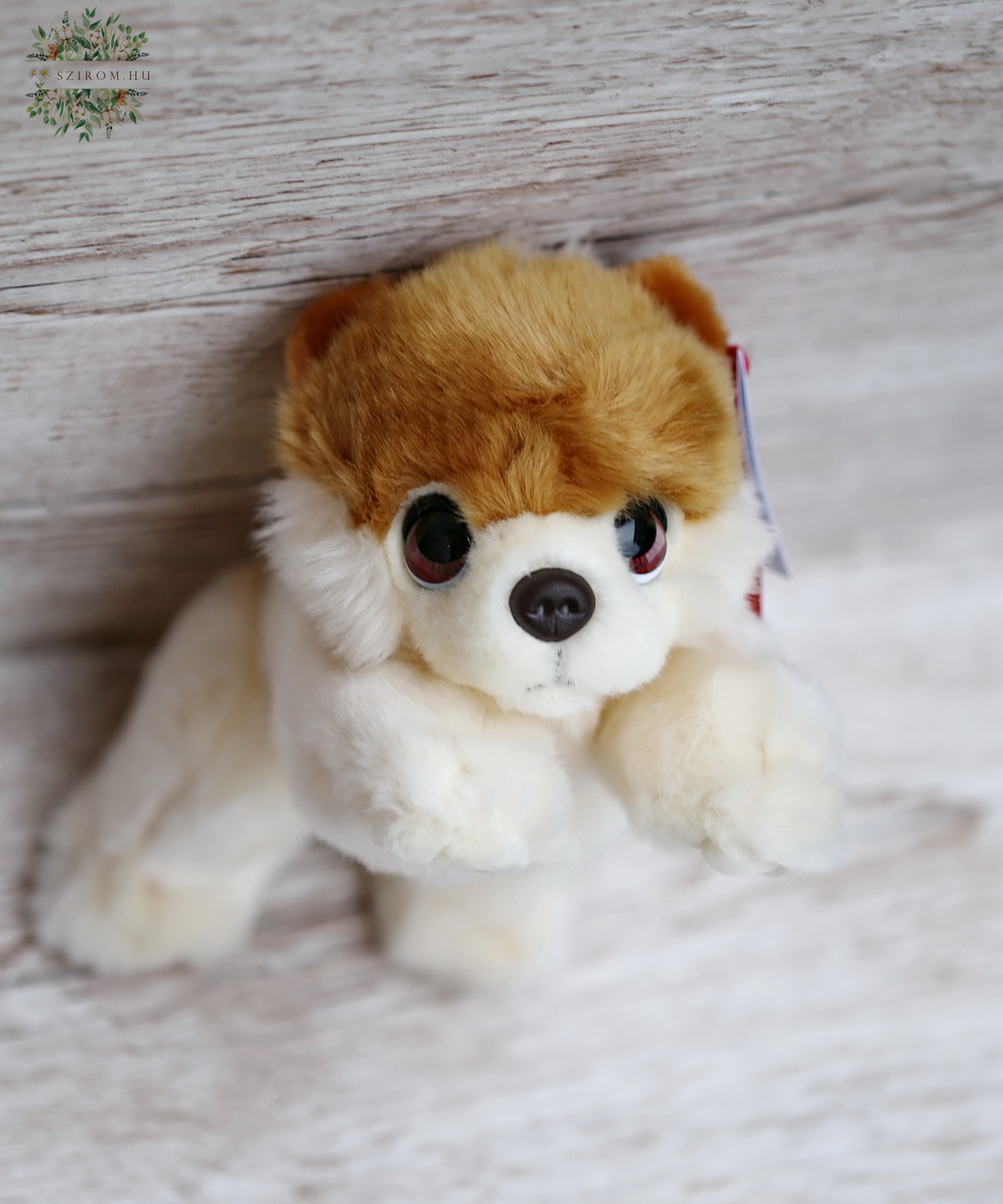 flower delivery Budapest - Plush Pomeranian 25cm