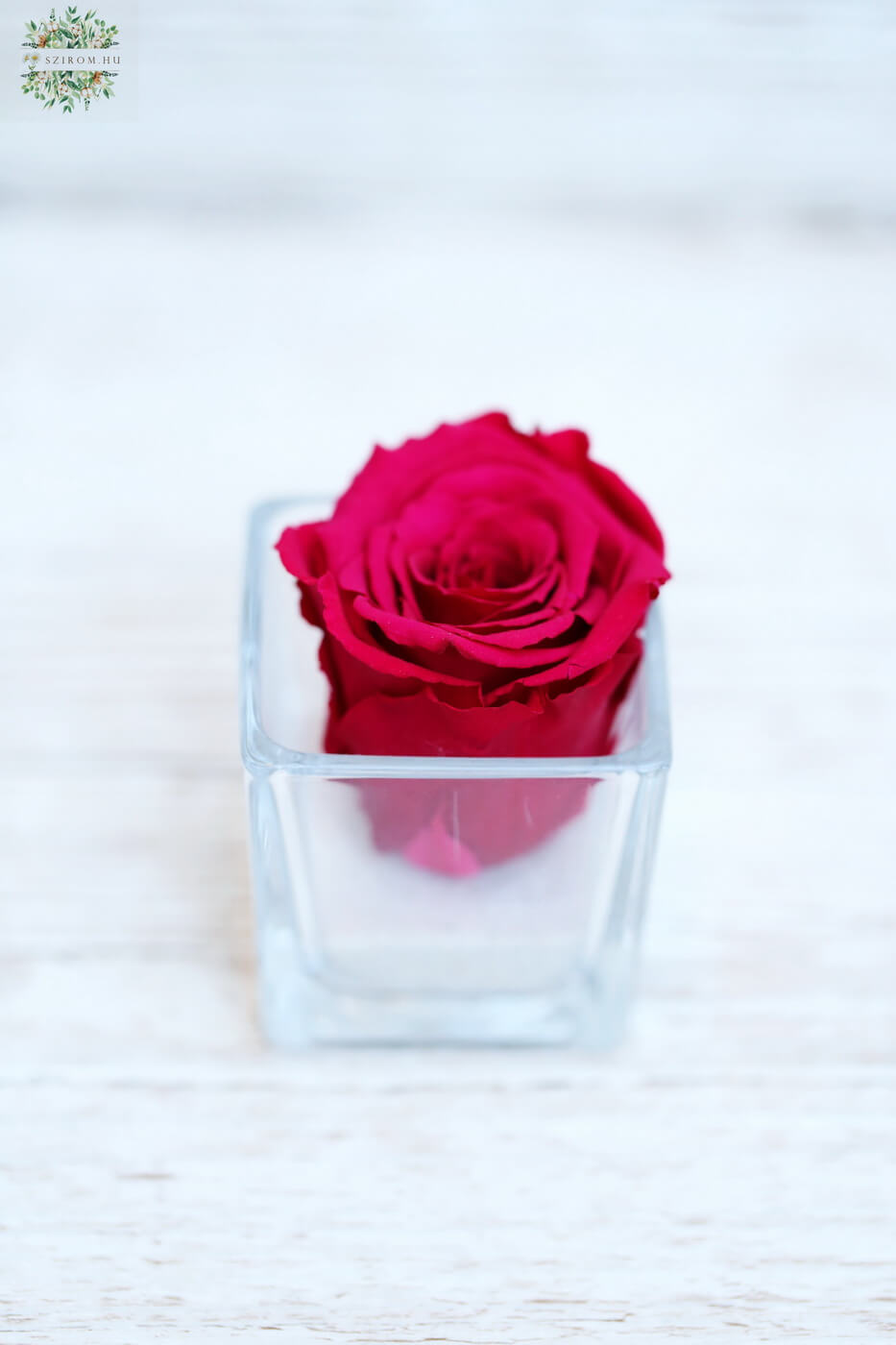 flower delivery Budapest - pink Forever rose in small glass cube