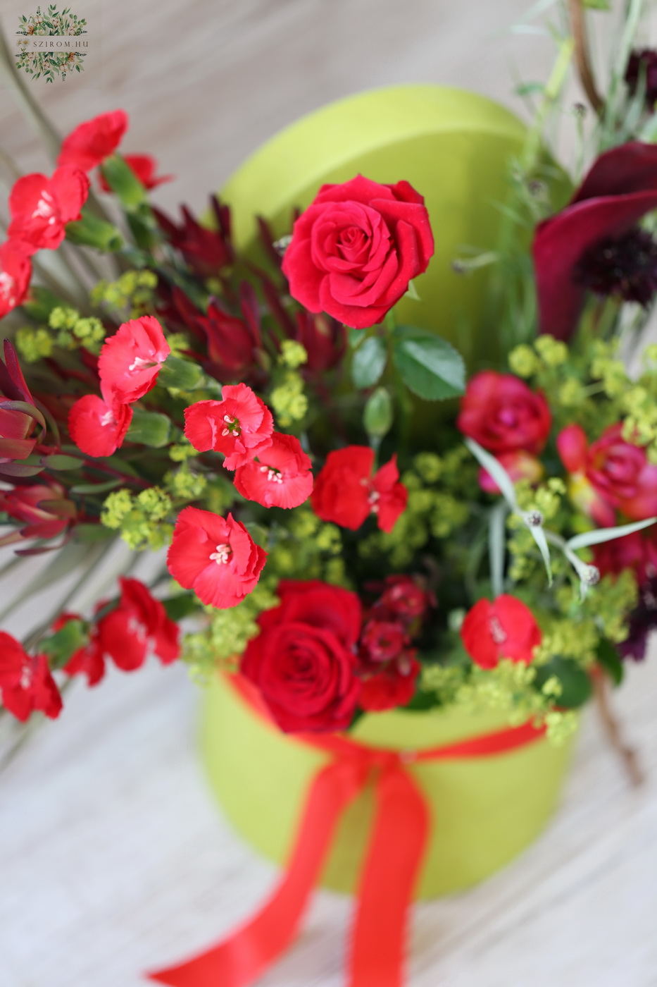 Blumenlieferung nach Budapest - Frische grüne Halbmondschachtel mit roter Buschrose, Calla-Lilien und Dianthus Solomio