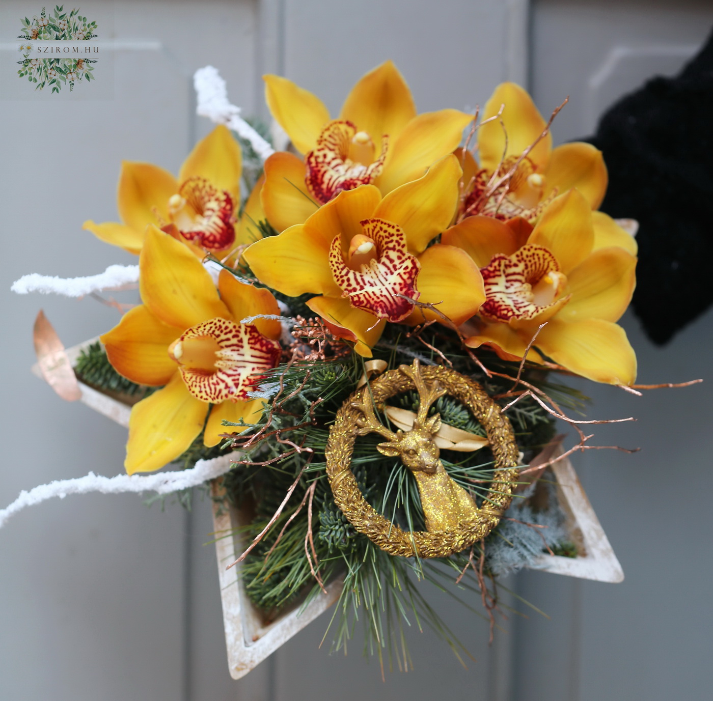 Blumenlieferung nach Budapest - Sternschale mit gelber Orchidee und Rentierfigur