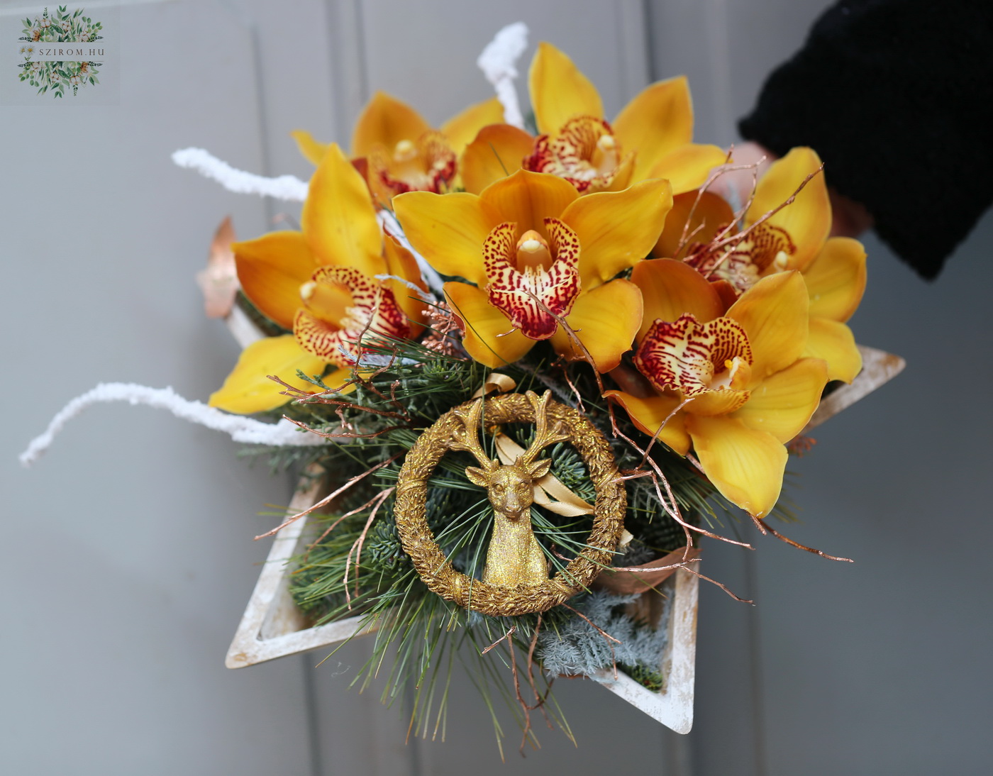 Blumenlieferung nach Budapest - Sternschale mit gelber Orchidee und Rentierfigur