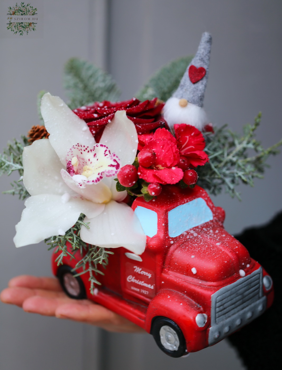 flower delivery Budapest - orchid head with Santa Claus in a red car