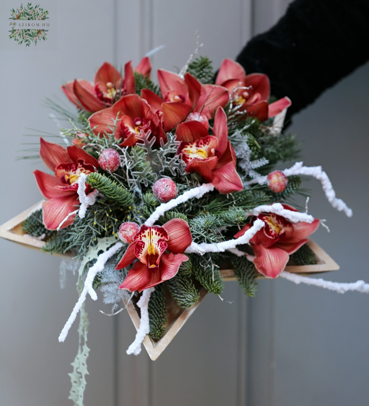 Blumenlieferung nach Budapest - Sternschale mit rosa Orchidee und Schneeflocke