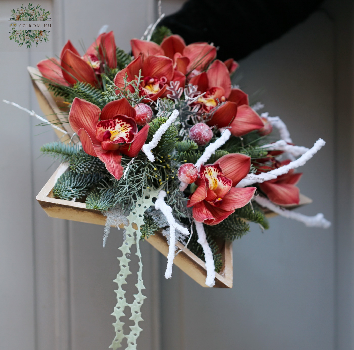 Blumenlieferung nach Budapest - Sternschale mit rosa Orchidee und Schneeflocke