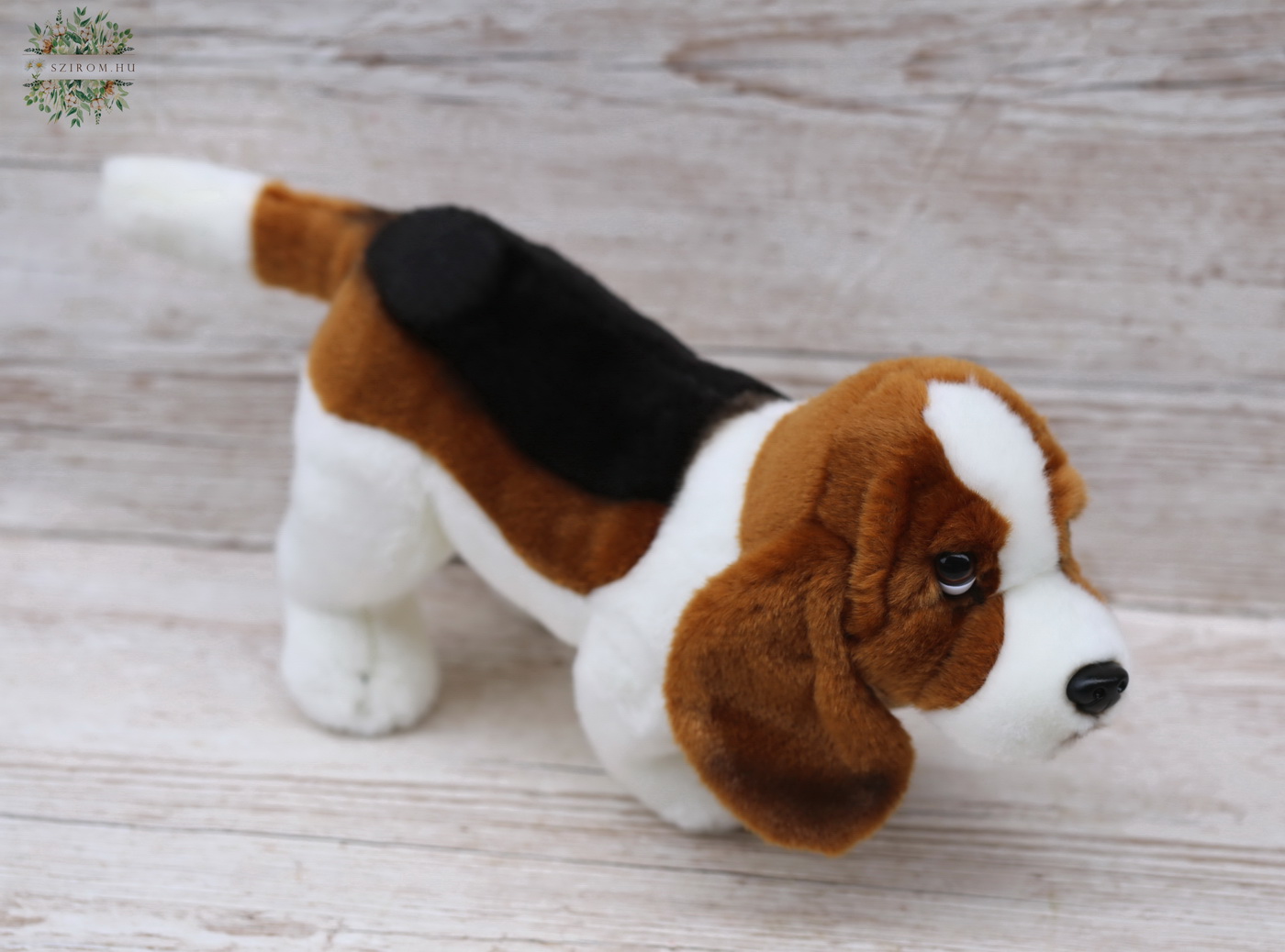 flower delivery Budapest - Plush Basset Dog (32cm)