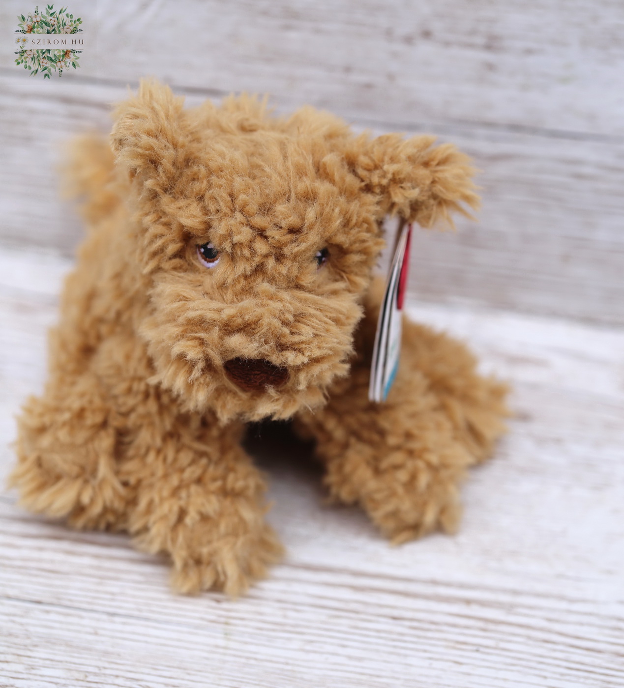 Blumenlieferung nach Budapest - Plüsch Hund (18cm)