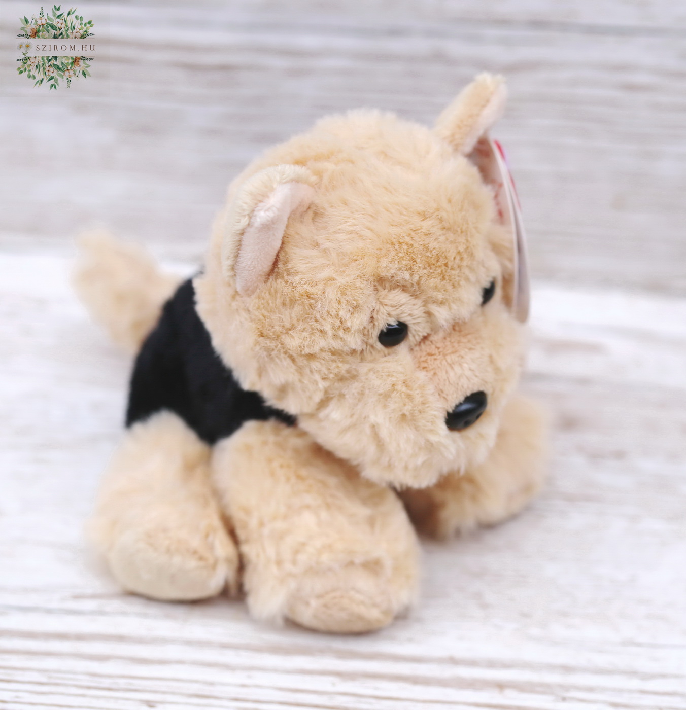 Blumenlieferung nach Budapest - Plüsch cairn terrier (14 cm)