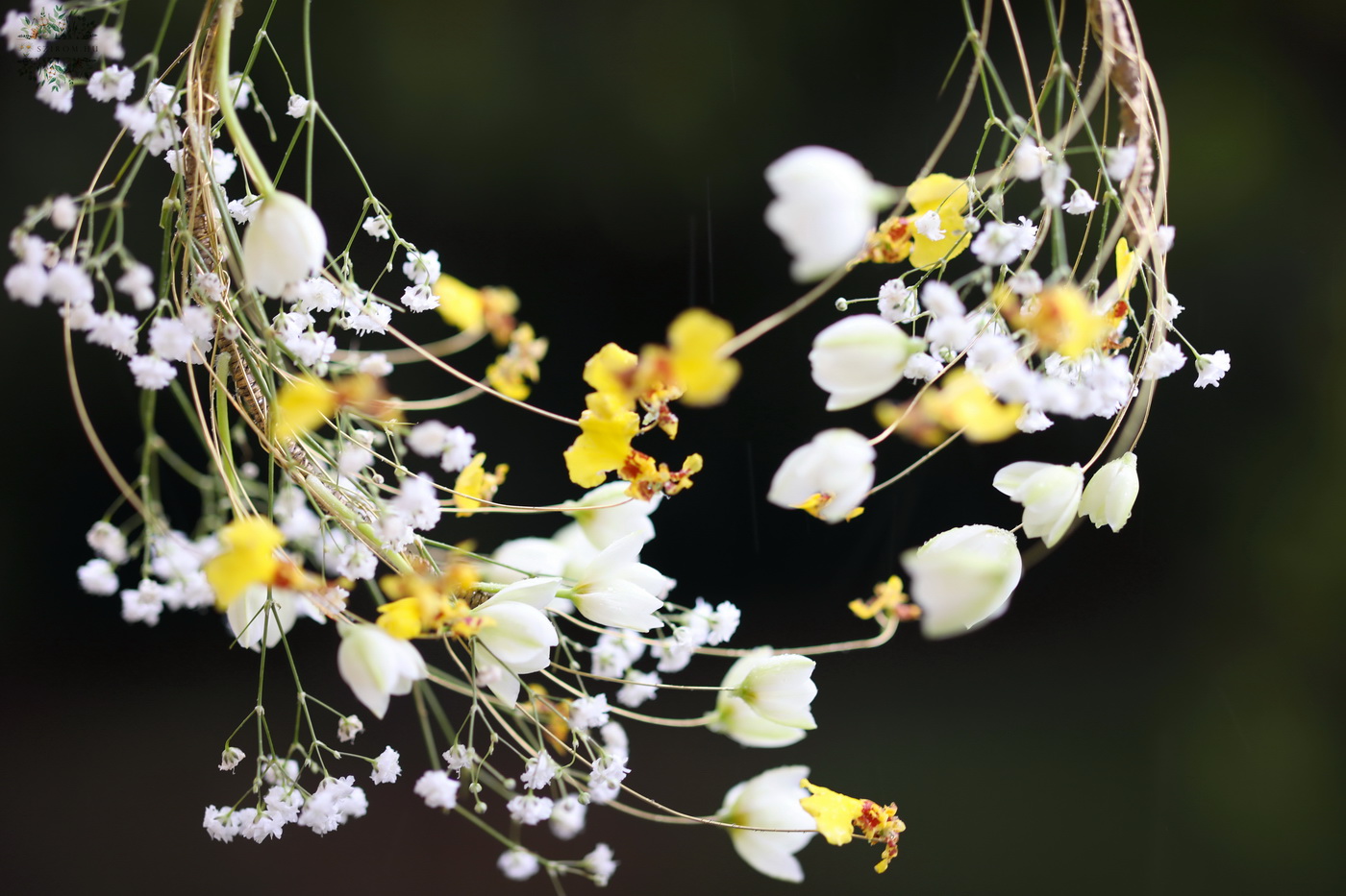 Blumenlieferung nach Budapest - Moderner Drahtreifenstrauß mit luftigen Blüten (weiß, gelb, Schleierkraut, Orchidee, Ornithogalum)