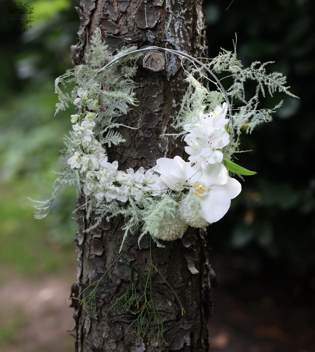 Blumenlieferung nach Budapest - Moderner Hoop-Bouquet mit Rittersporn, Orchidee (weiß)
