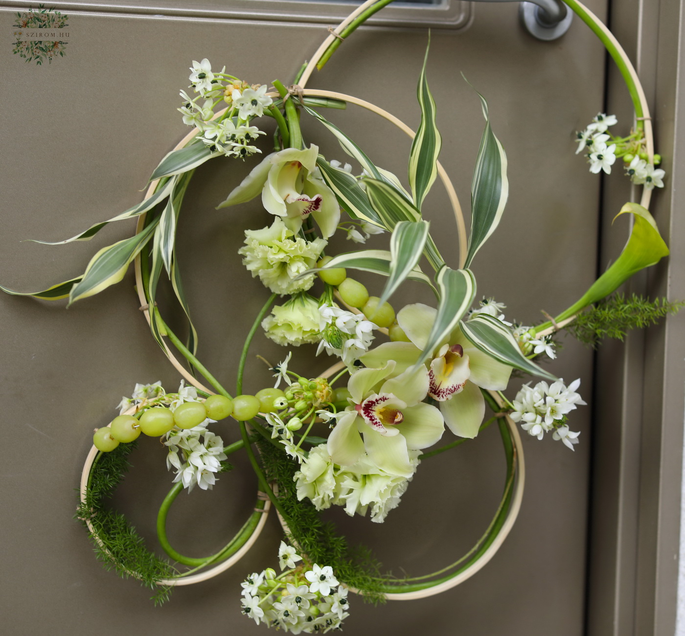 Blumenlieferung nach Budapest - moderner Hoop-Bouquet mit Orchideen (Ornithogalum, Calla, Orchidee, Grün)