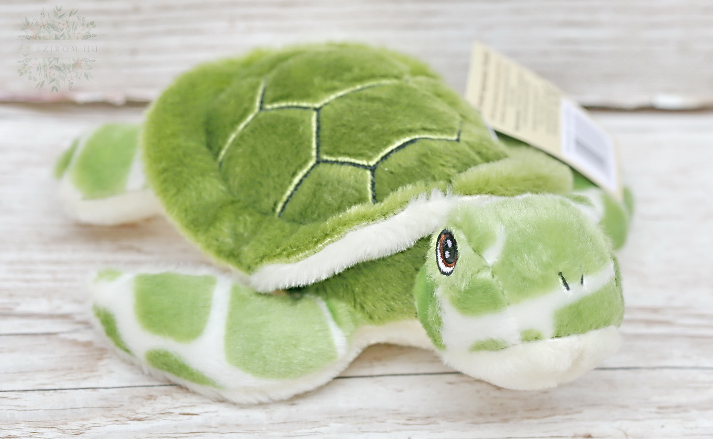 Blumenlieferung nach Budapest - Schildkröte (17 cm)