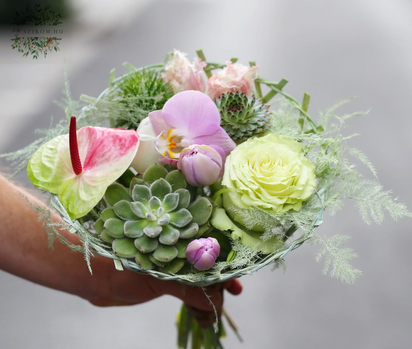 flower delivery Budapest - Small Bouquet with echeverias, tulips, orchid, anthurium