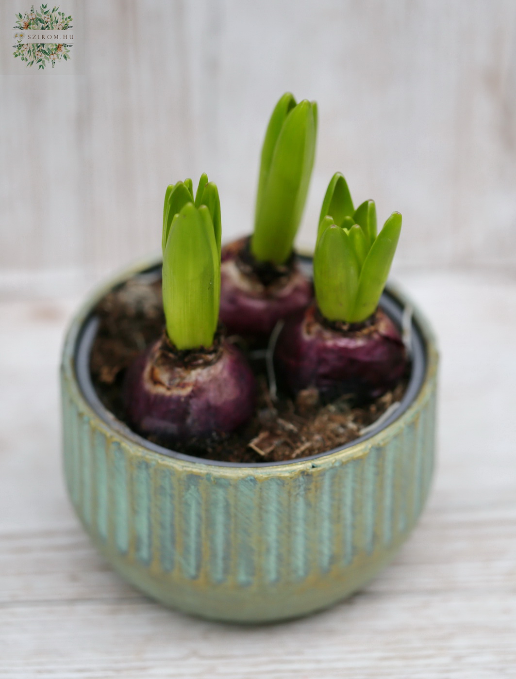 flower delivery Budapest - 