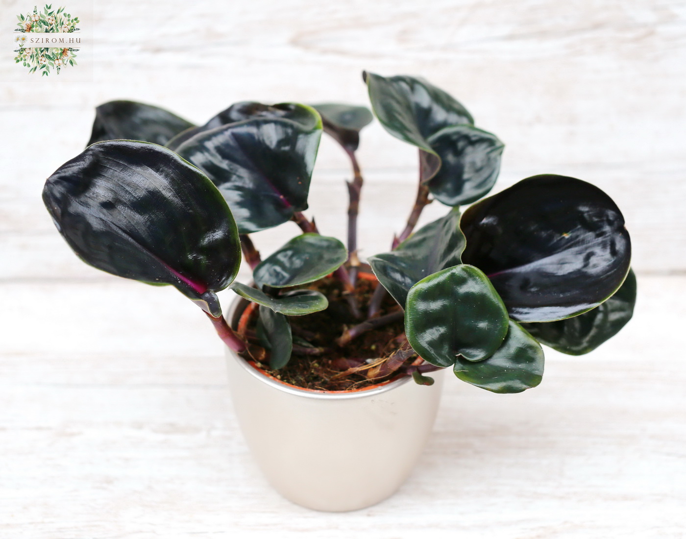 Blumenlieferung nach Budapest - 