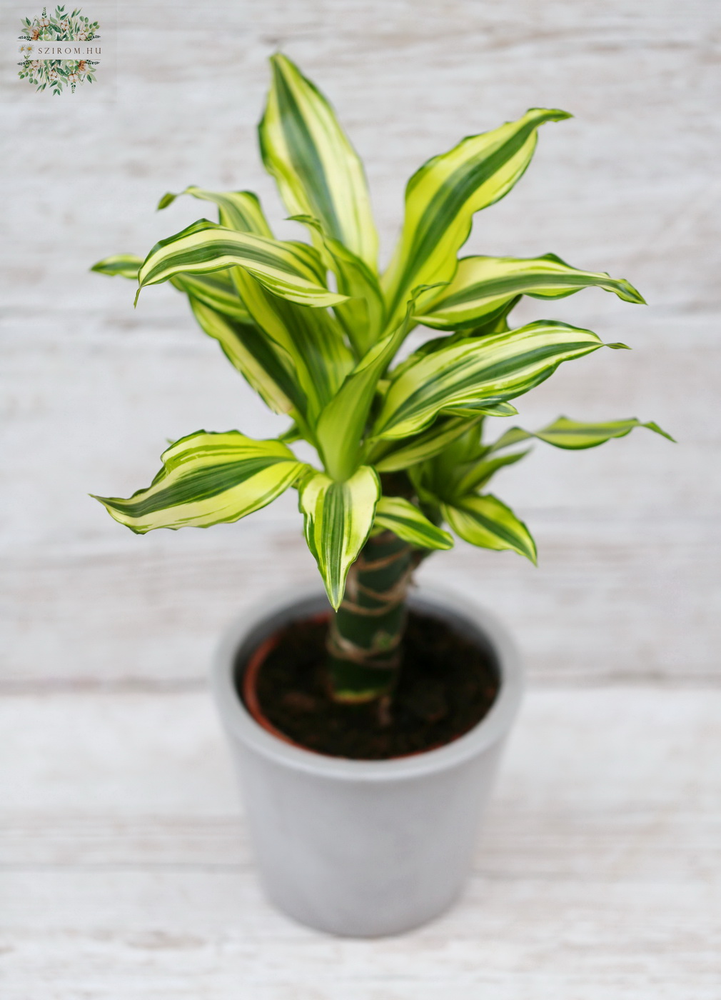 flower delivery Budapest - 