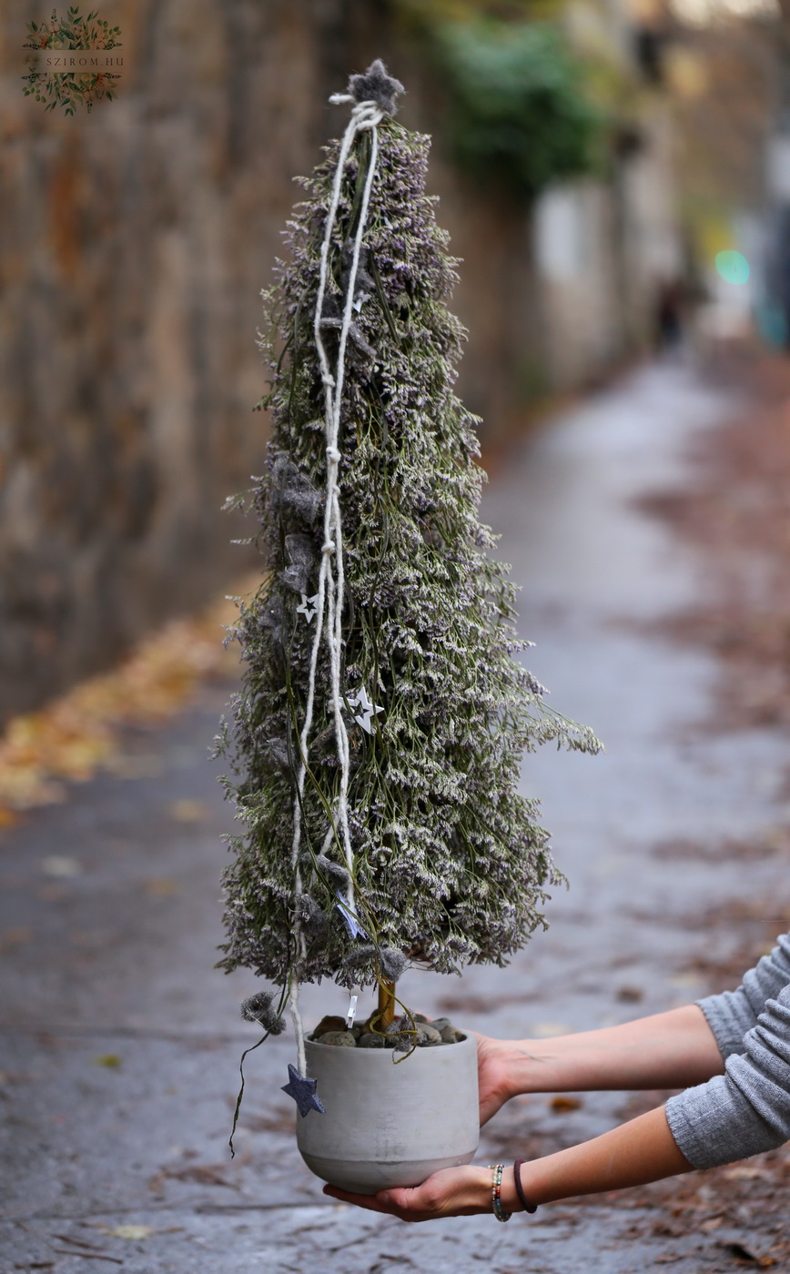 Blumenlieferung nach Budapest - Moderner silberfarbener Kiefernbaumschmuck gefertigt aus Limonium in einem Topf (100 cm)