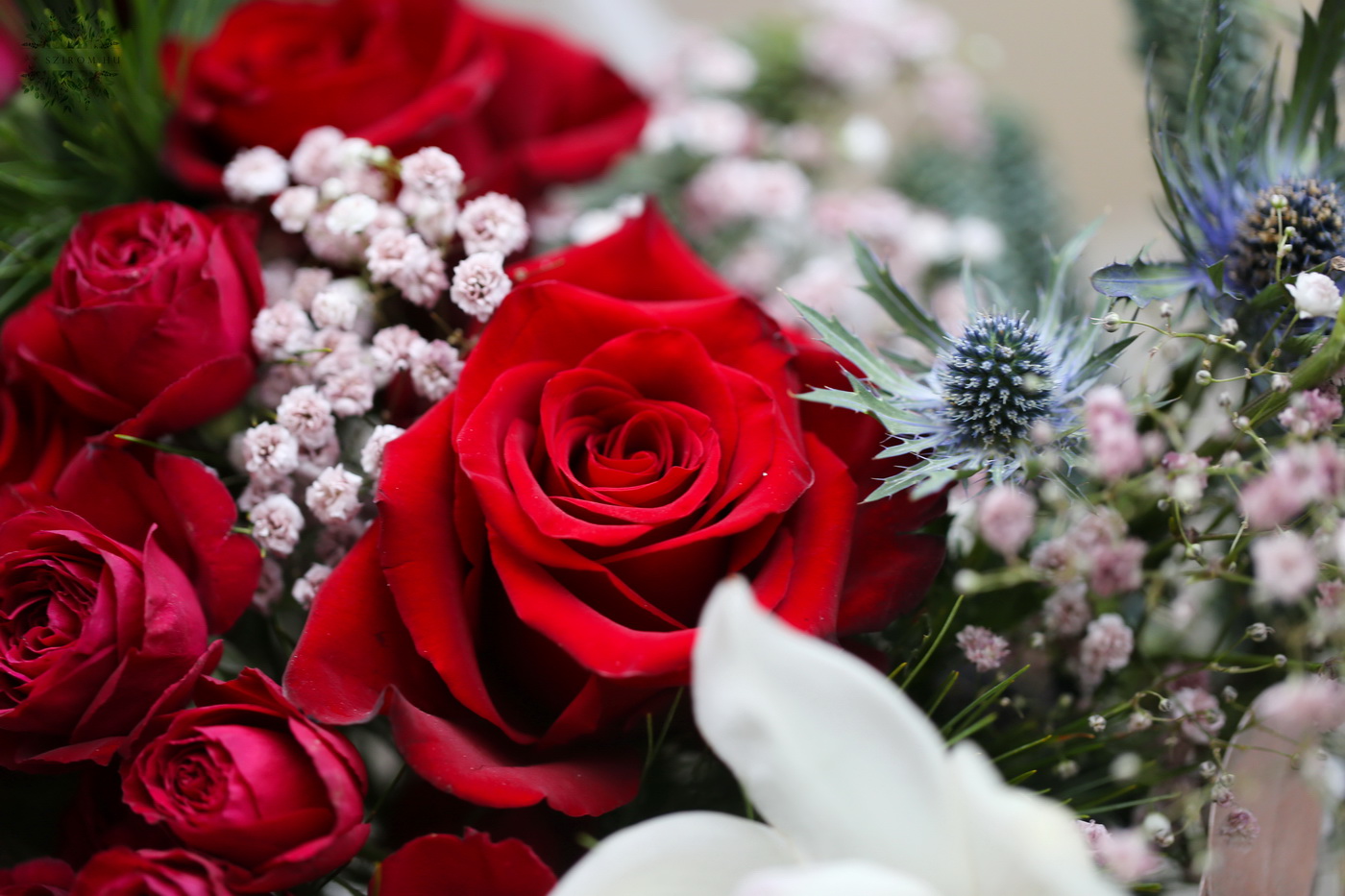 Virágküldés Budapest - Kis téli holdcsokor vörös rózsákkal, orchideákkal