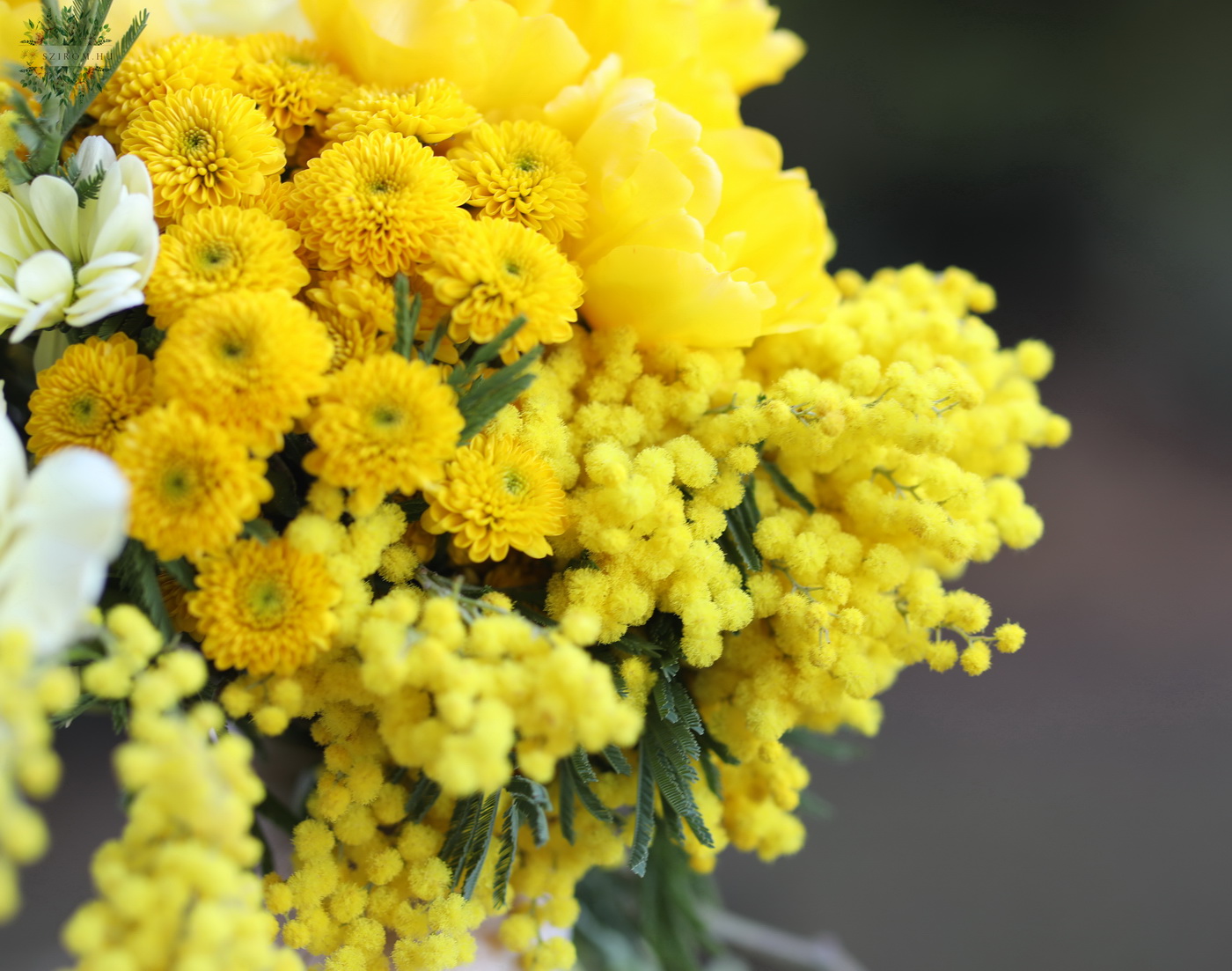 Virágküldés Budapest - Mimózás Tulipános Menyasszonyi Csokor (fehér, sárga, santini, tulipán, mimóza)