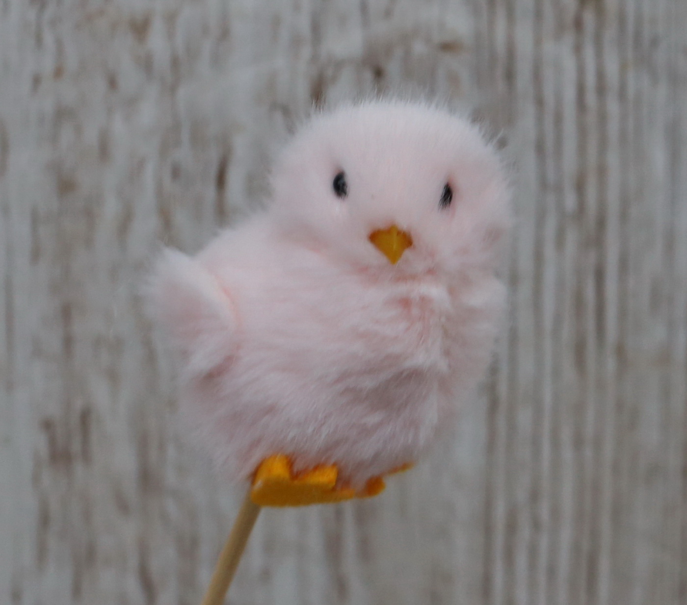 Virágküldés Budapest - Színes csibe betűző 7cm