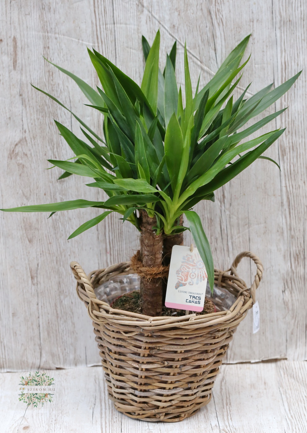 Virágküldés Budapest - 