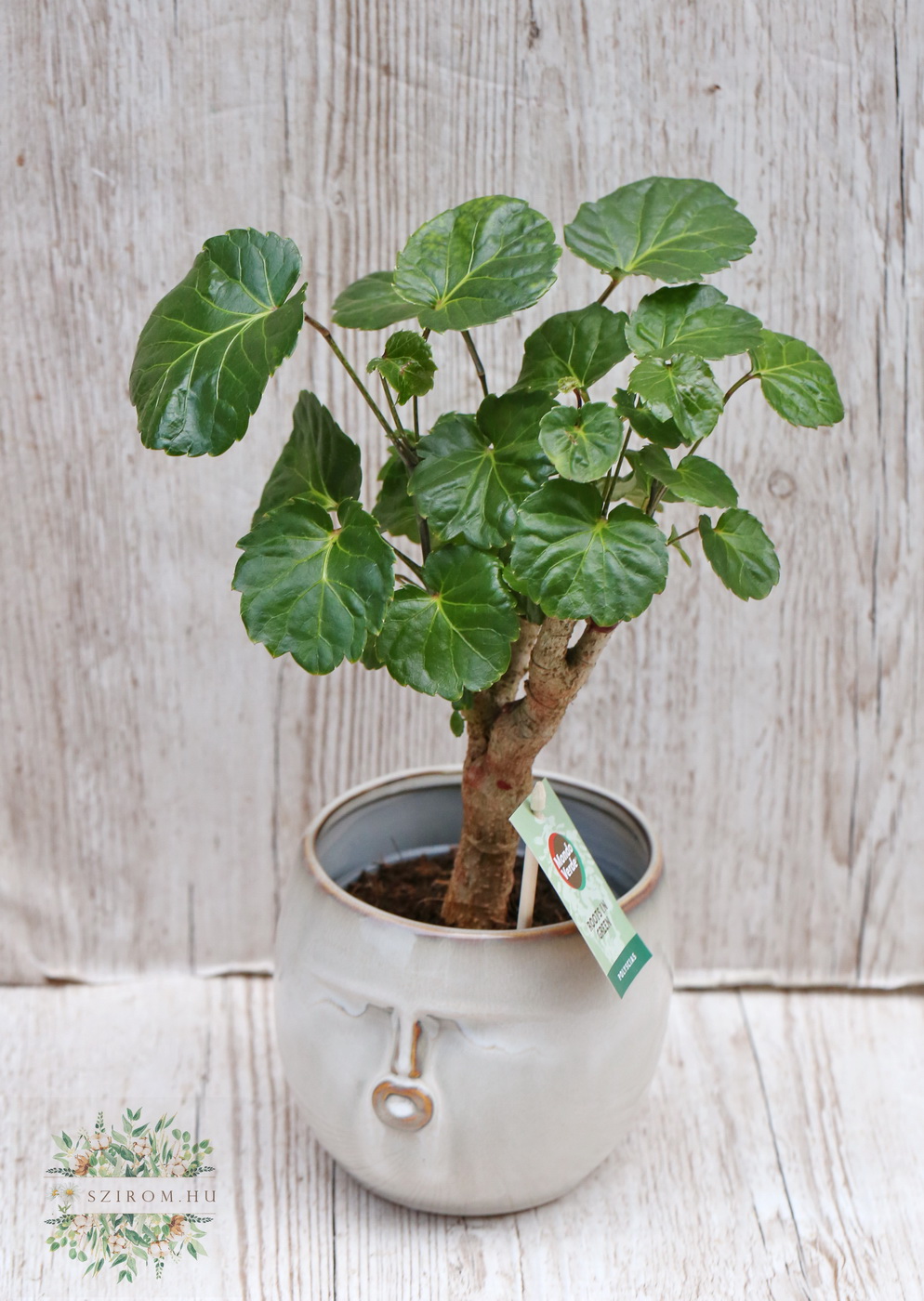 Virágküldés Budapest - 