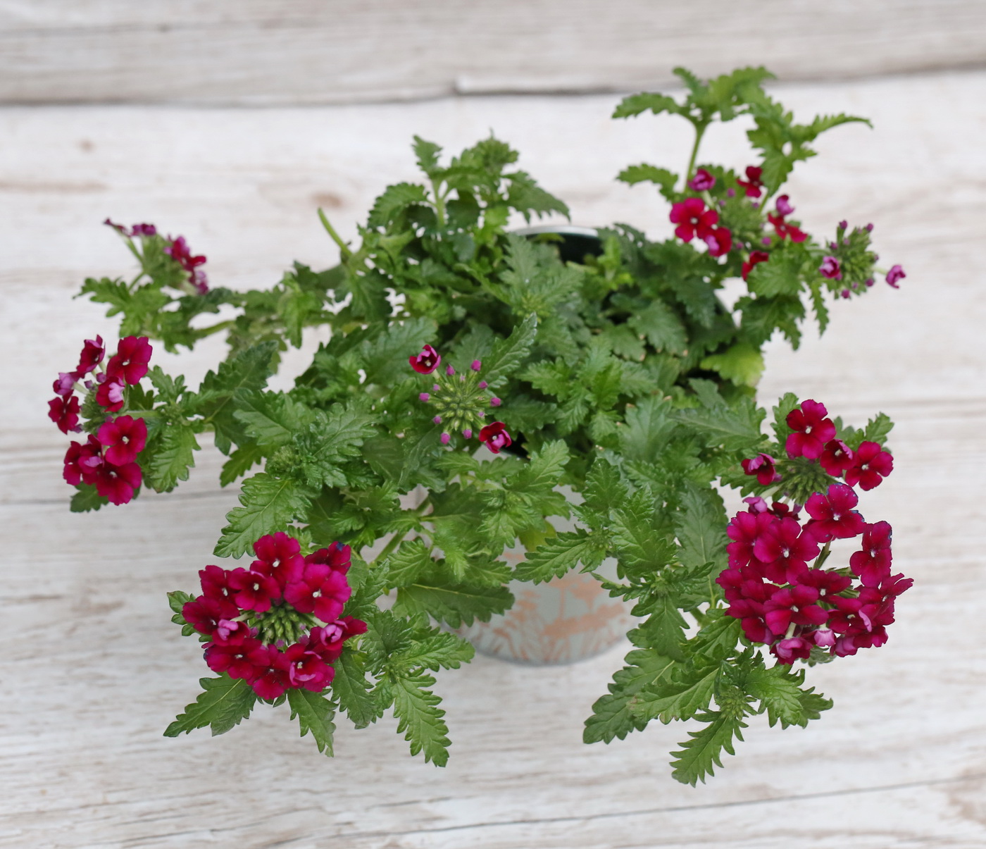 Virágküldés Budapest - 