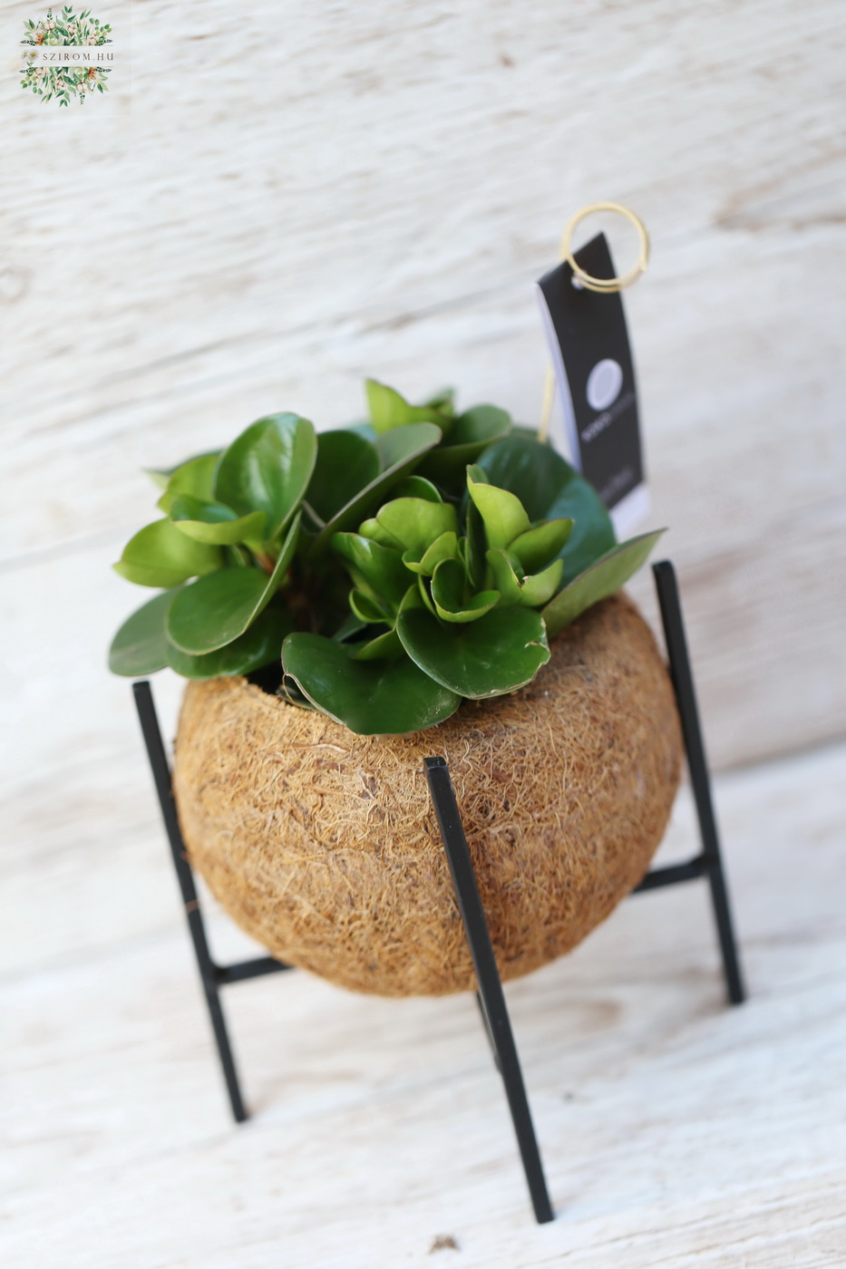 Blumenlieferung nach Budapest - 