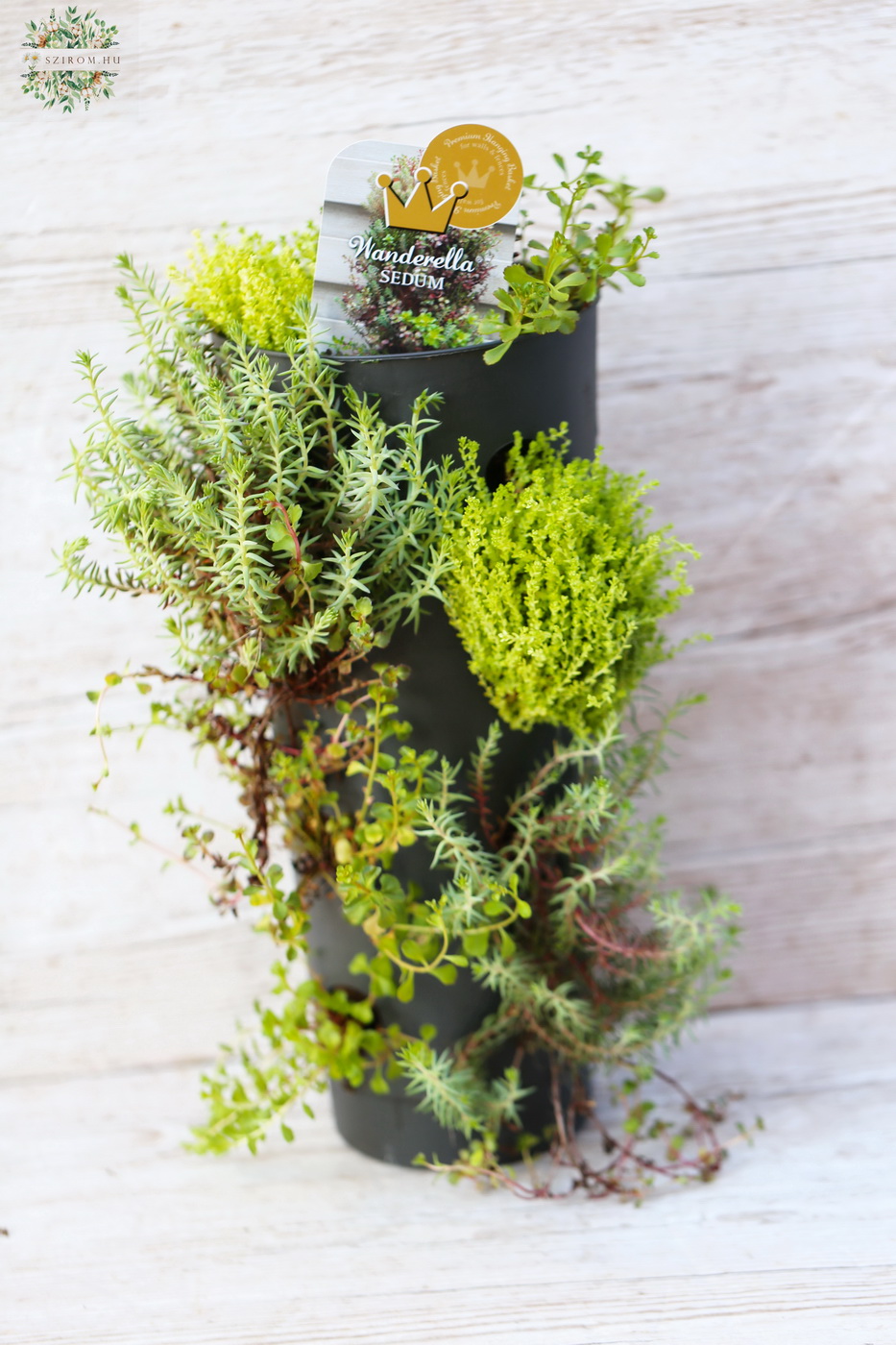 Blumenlieferung nach Budapest - 