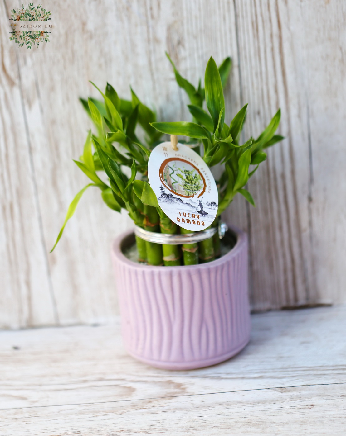 Blumenlieferung nach Budapest - 