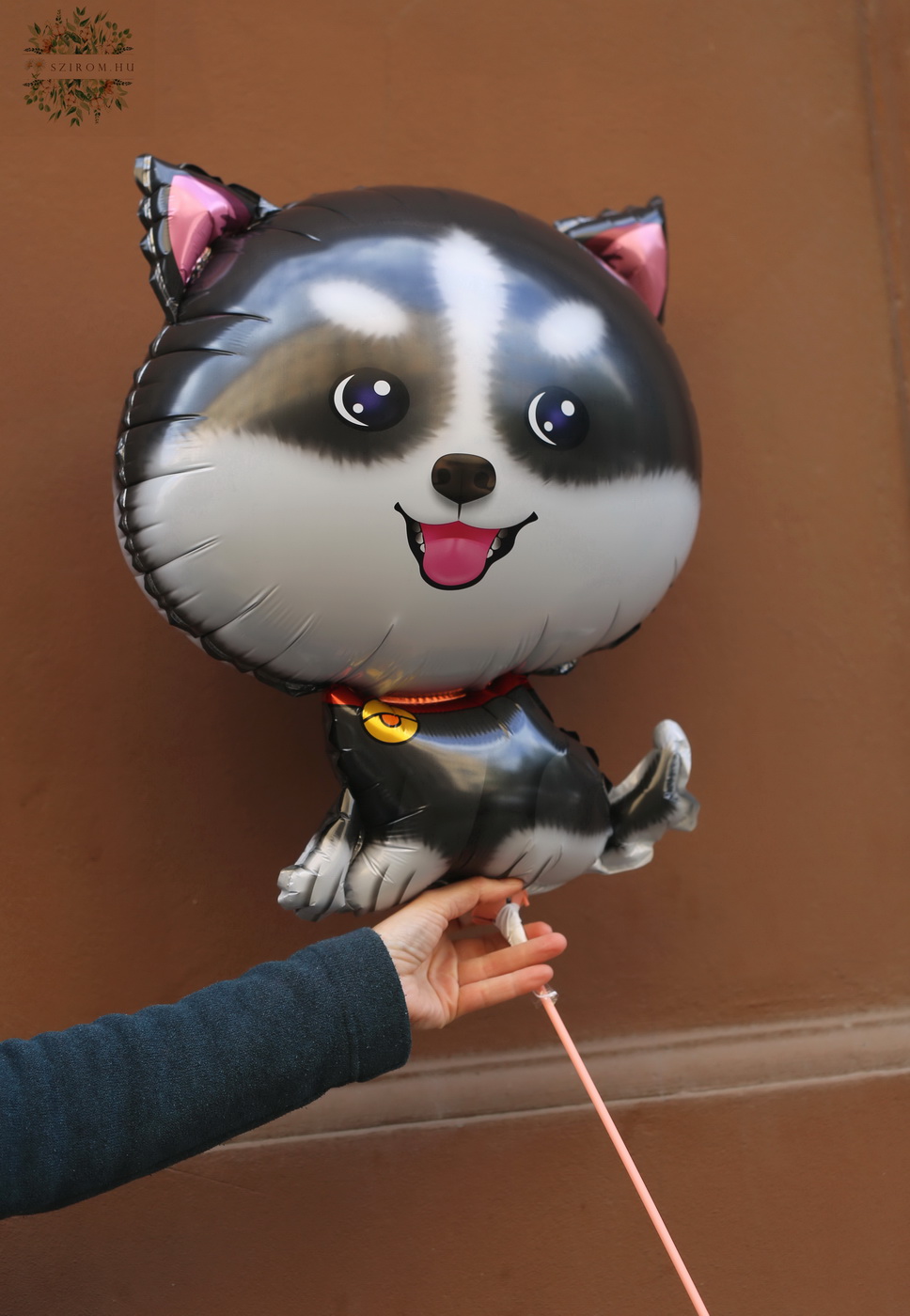 Virágküldés Budapest - Pomerániai lufi