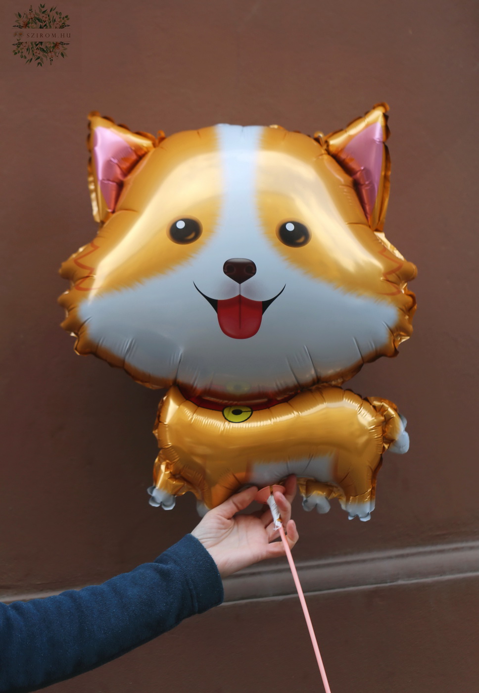 Virágküldés Budapest - Pomerániai kutya lufi