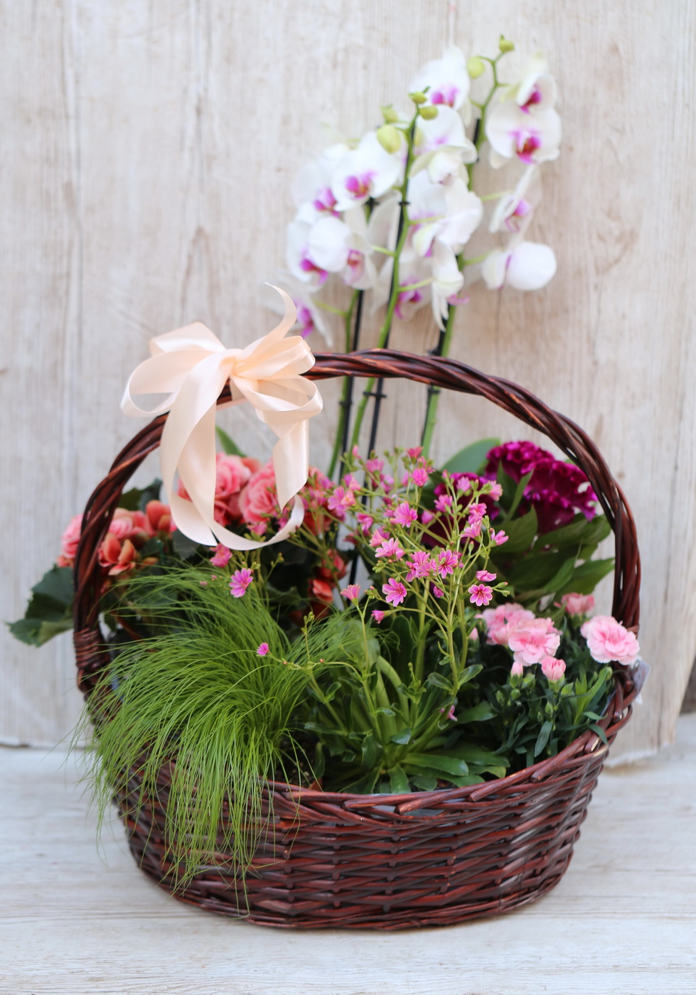 flower delivery Budapest - Big pink may basket with pink potplants, with orchid