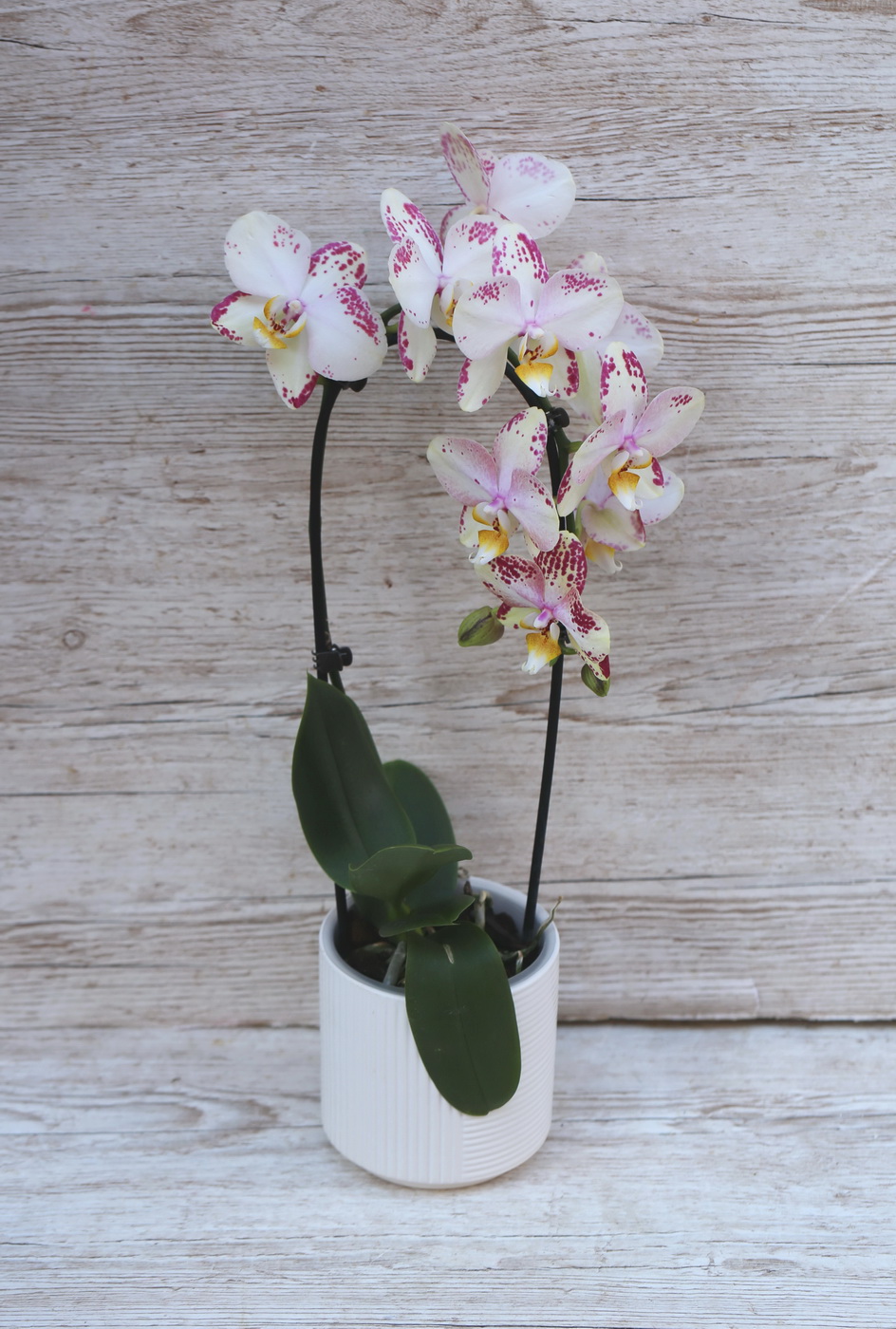 Blumenlieferung nach Budapest - 