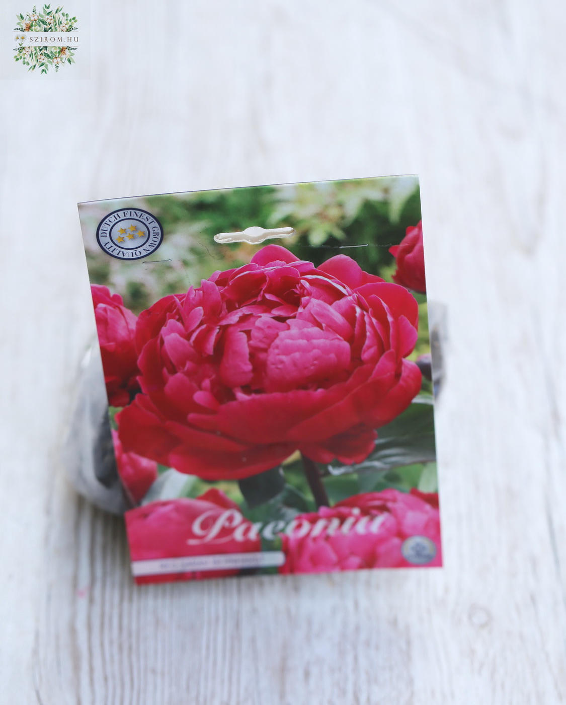 Blumenlieferung nach Budapest - Pfingstrosenknolle