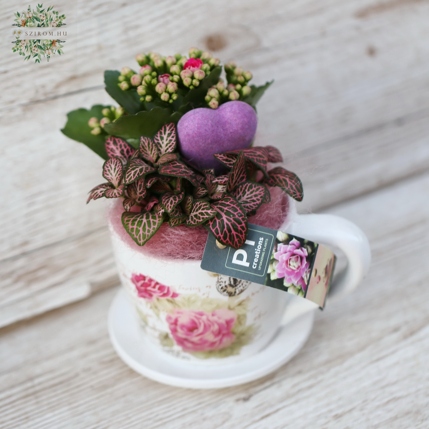 Virágküldés Budapest - Növény összeültetés bögrében 