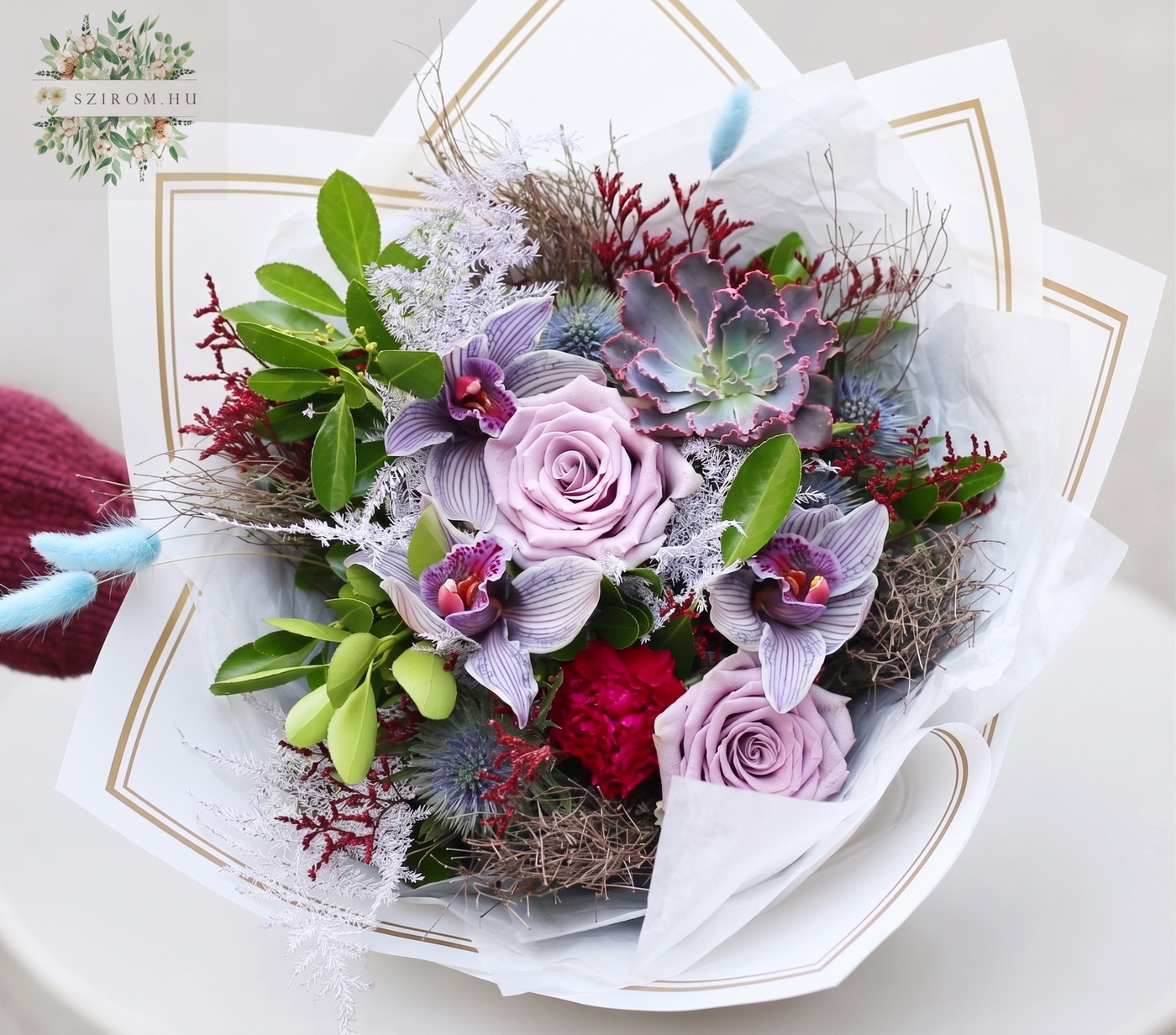 flower delivery Budapest - Bouquet with striped orchid, echeveria