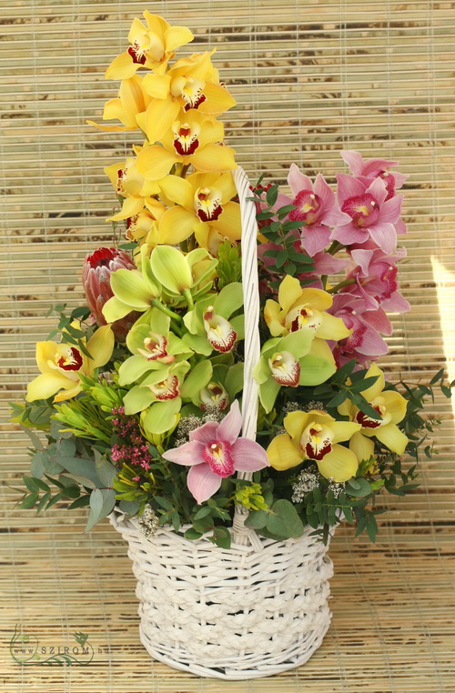 flower delivery Budapest - big tropical basket with orchids (50cm)