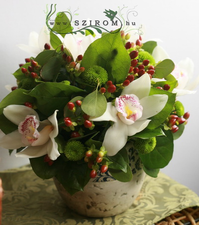 Blumenlieferung nach Budapest - 7 Orchidee, Hypericum, grün Pompons im Keramiktopf (25 cm)