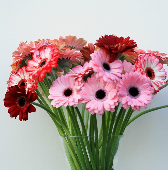 Virágküldés Budapest - 30 szál mini gerbera vázában