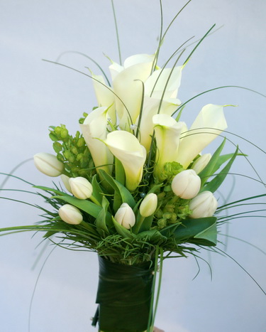 Blumenlieferung nach Budapest - Calla und Tulpen (25 Stämme)