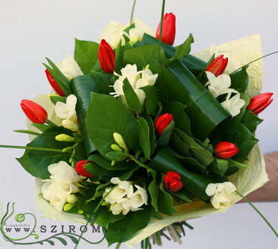 flower delivery Budapest - red tulips with white freesias (20 stems)