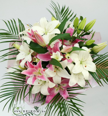 flower delivery Budapest - pink and white lilies (7 stems)