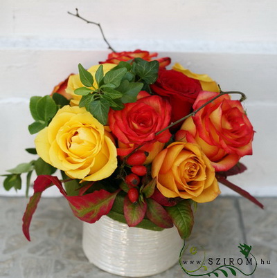 flower delivery Budapest - 9 color roses in a ceramic pot
