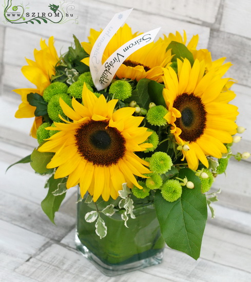 flower delivery Budapest - cube with 6 sunflowers and green buttons