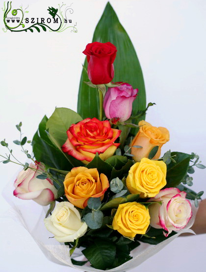 flower delivery Budapest - Rainbow rose bouquet (10 stems)